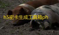 h5密卡生成工具箱php源码